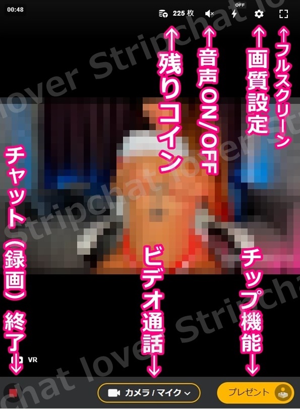STRIPCHATのプライベートチャット中の画面