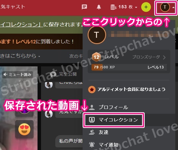 STRIPCHATのマイコレクション
