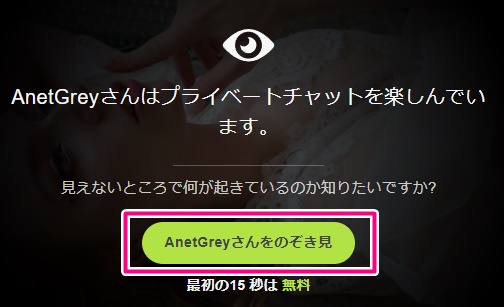 STRIPCHATでスパイチャット中の表示