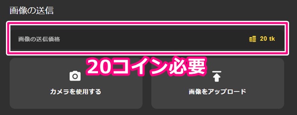 STRIPCHATで画像送信画面