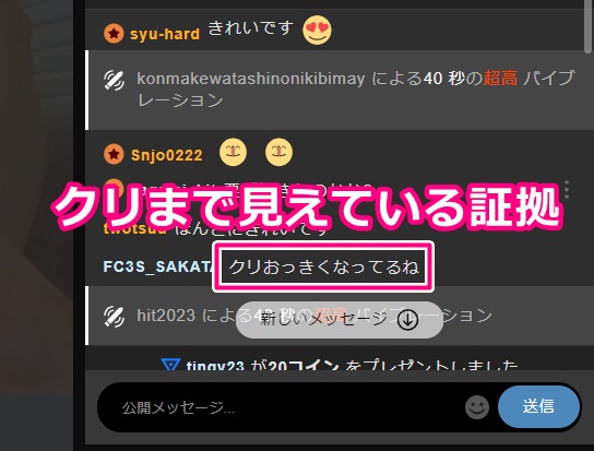 STRIPCHATのエロいチャット欄