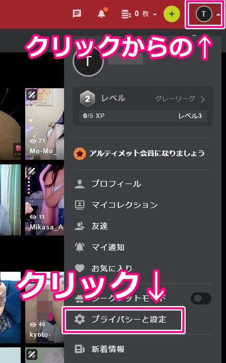 STRIPCHATのプライバシー設定ボタン