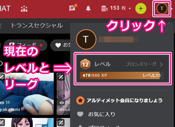 STRIPCHATの現在のレベルとリーグ表示画面