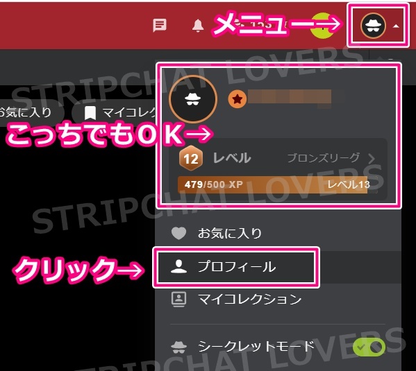 stripchatのプロフィール