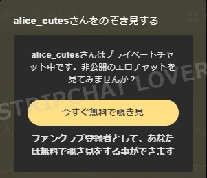 stripchatでファンクラブ入会後のスパイチャット開始画面