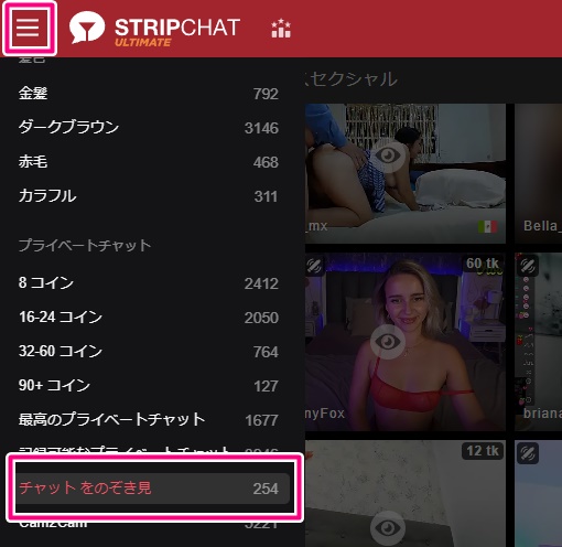stripchatでプライベートチャット中の女性一覧