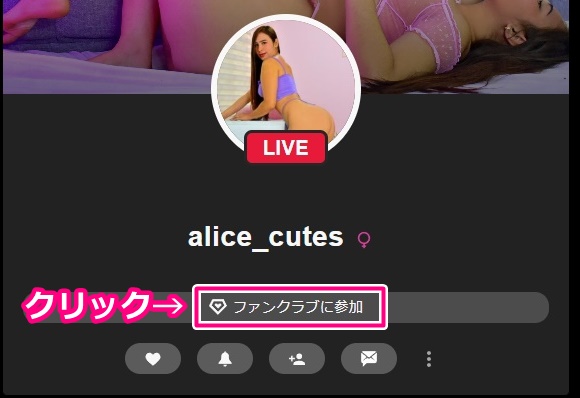 stripchatのファンクラブ登録入り口