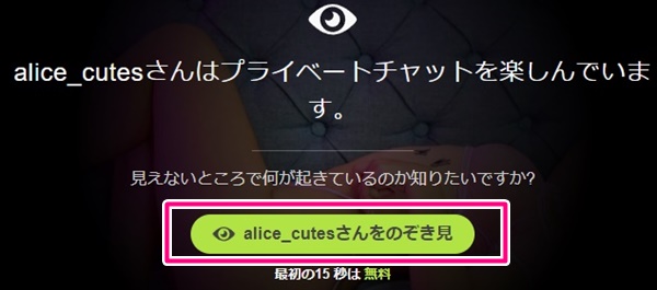 stripchatのプライベートチャット中の画面